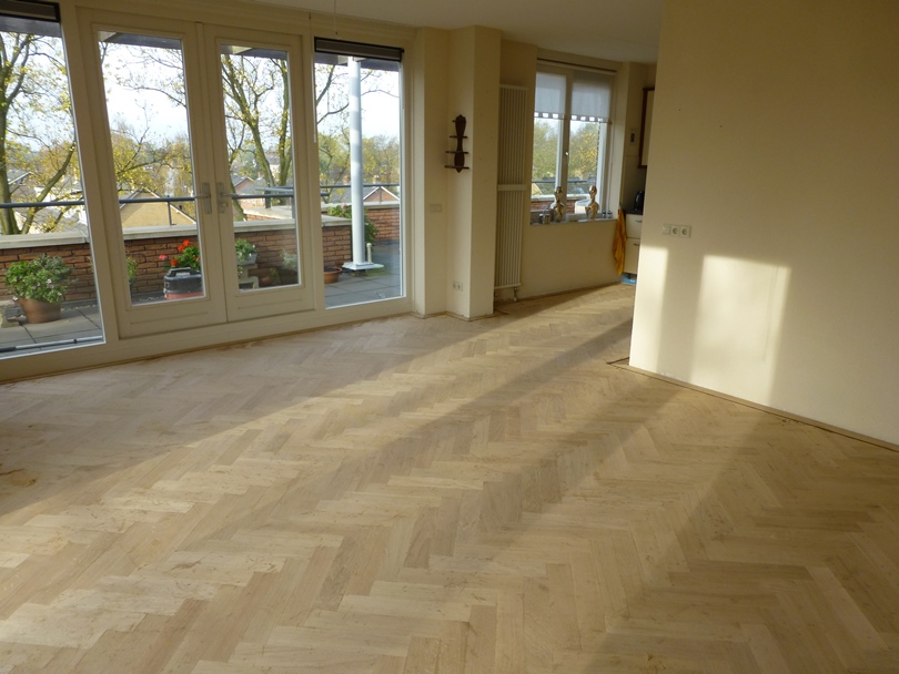parket omgeving genemuiden